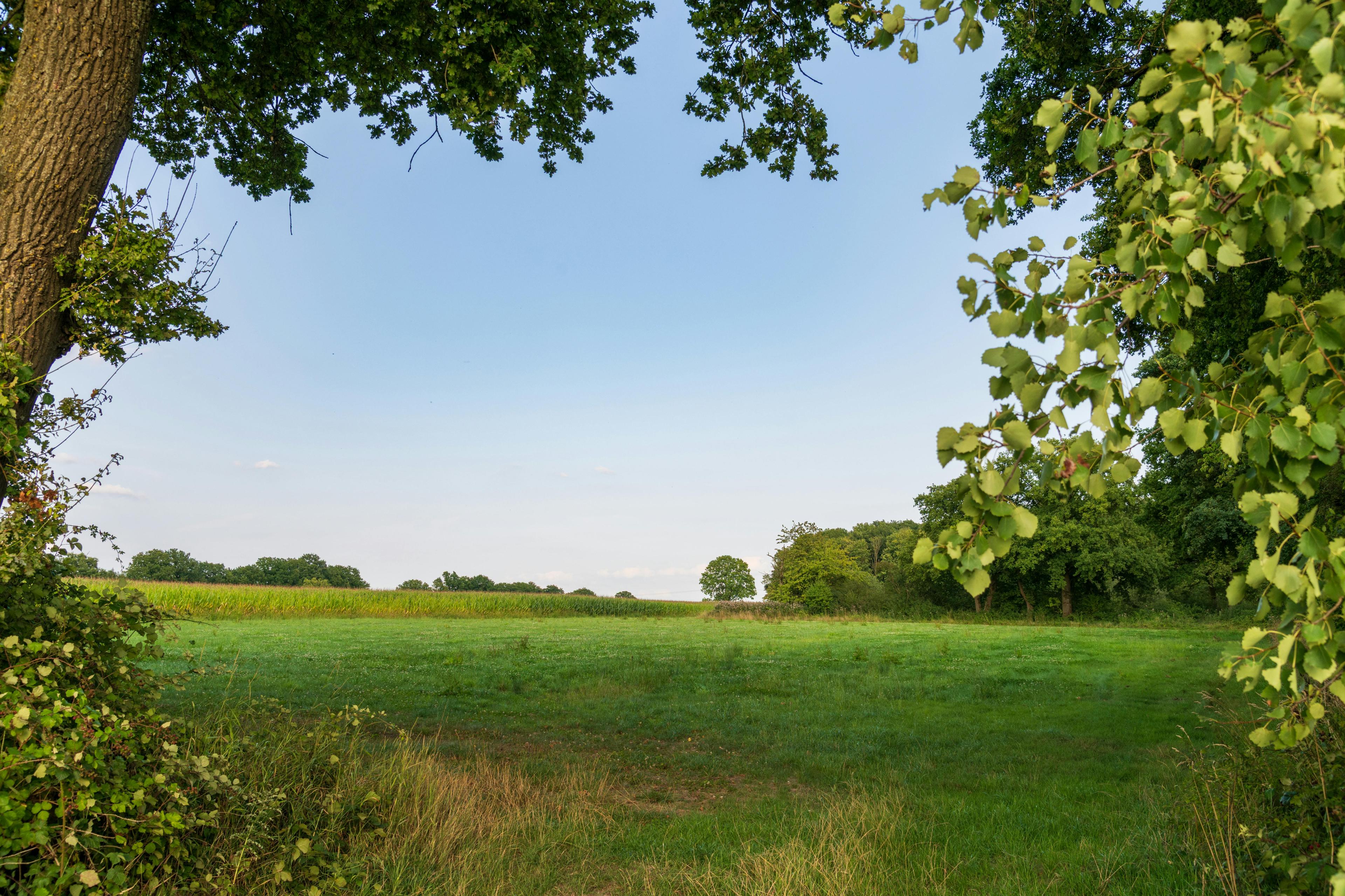 Grundstücke – Immobilienbewertung Berlin